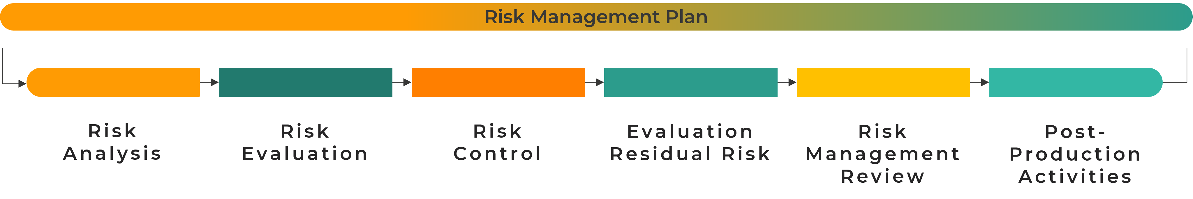 Schematic representation of the risk management process